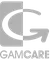 Footer2 logo